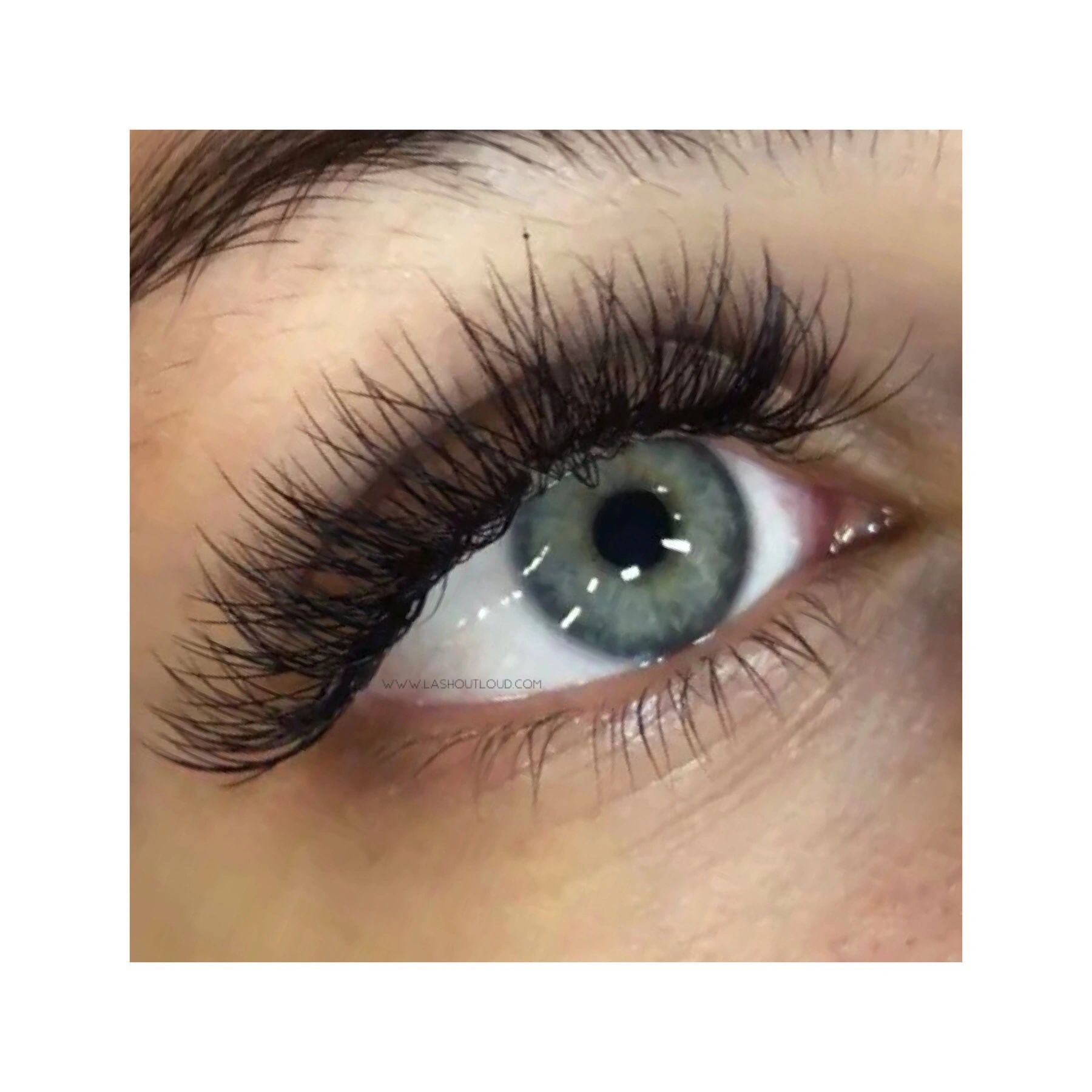 Professional eyelash extension application